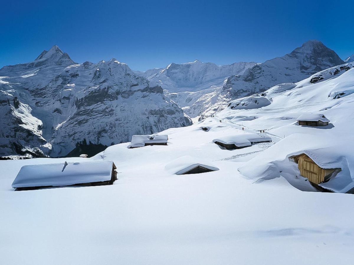Abendrot Apartments-6 By Interhome Apartment Grindelwald